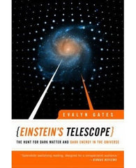 Einstein's Telescope : The Hunt for Dark Matter and Dark Energy in the Universe