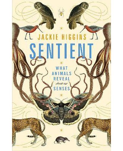 Sentient: What Animals Reveal About Our Senses