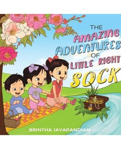 The Amazing Adventures of Little Right Sock
