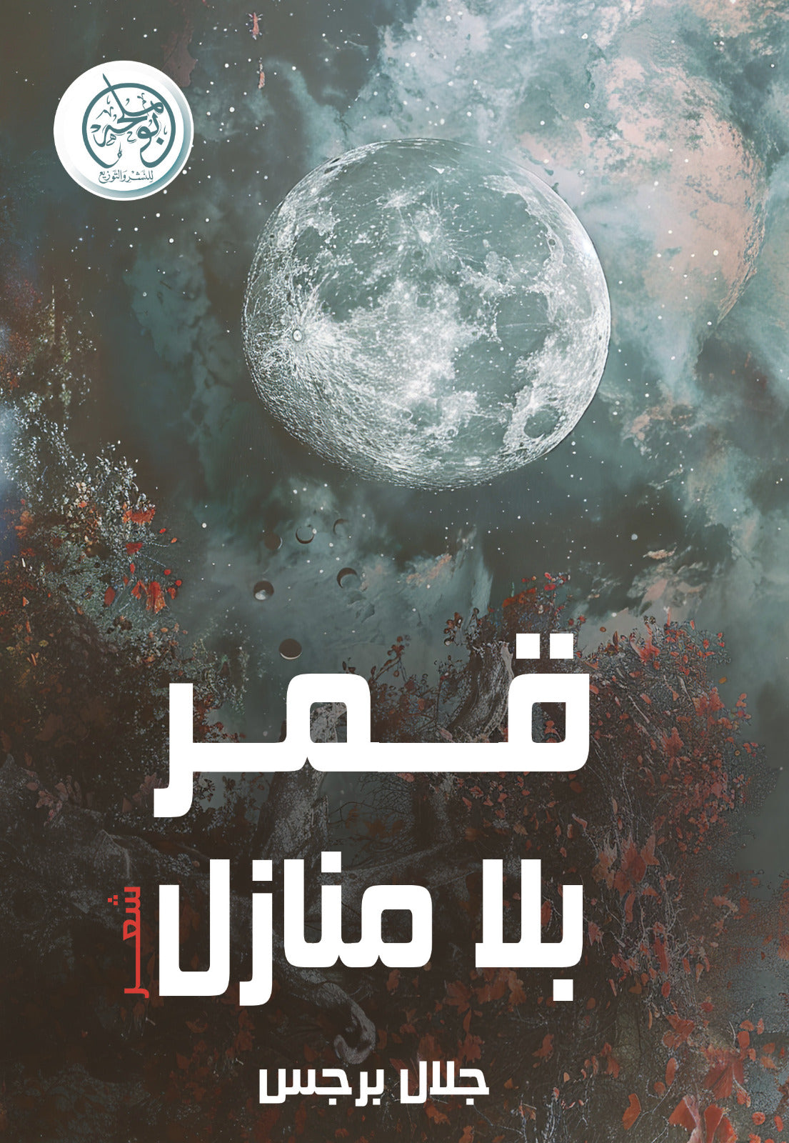 Homeless Moon