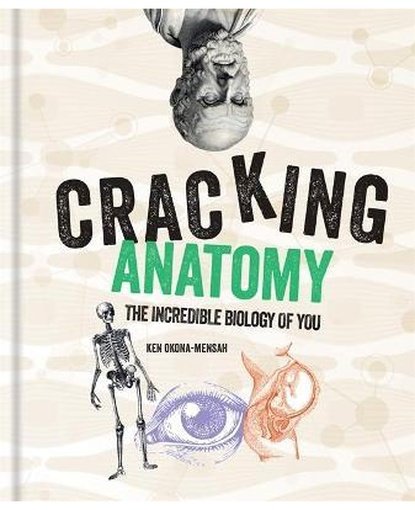 Cracking Anatomy