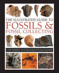 Fossils & Fossil Collecting, The Illustrated Guide to : A reference guide to over 375 plant and animal fossils from around the globe and how to identify them, with over 950 photographs and artworks