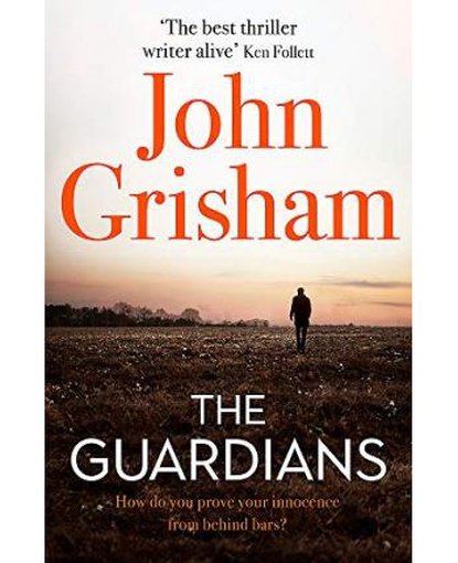 The Guardians : The Sunday Times Bestseller